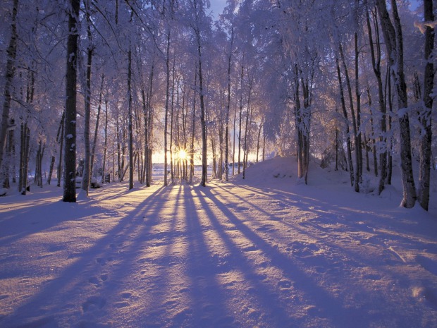 s_Winter-Sunset-Alaska.jpg