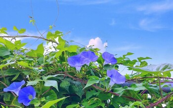 8/9(日)~8/16(日)夏季休業のお知らせ