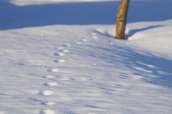 12/28～1/6冬季休業のお知らせ